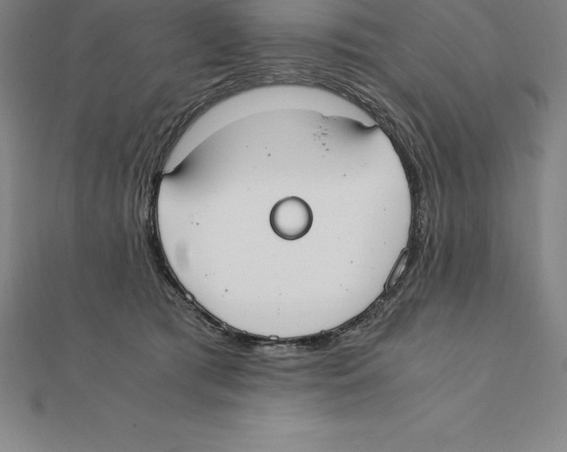 X0000110320417200906181827