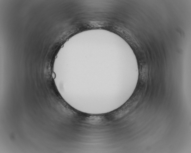 X0000110320418200906181827