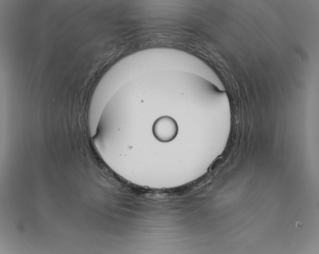 X0000110320419200906181827