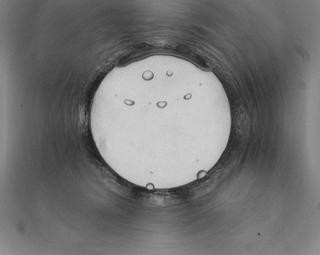 X0000110320420200906181827