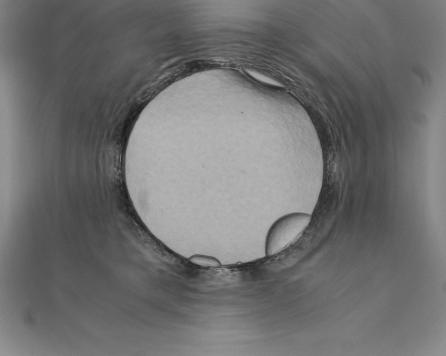 X0000110320421200906181827