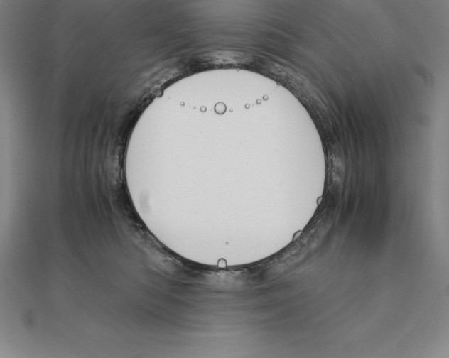 X0000110320422200906181827