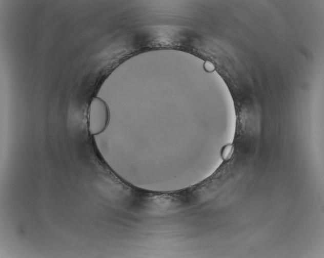 X0000110320423200906181827