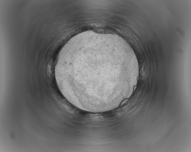 X0000110320424200906181827