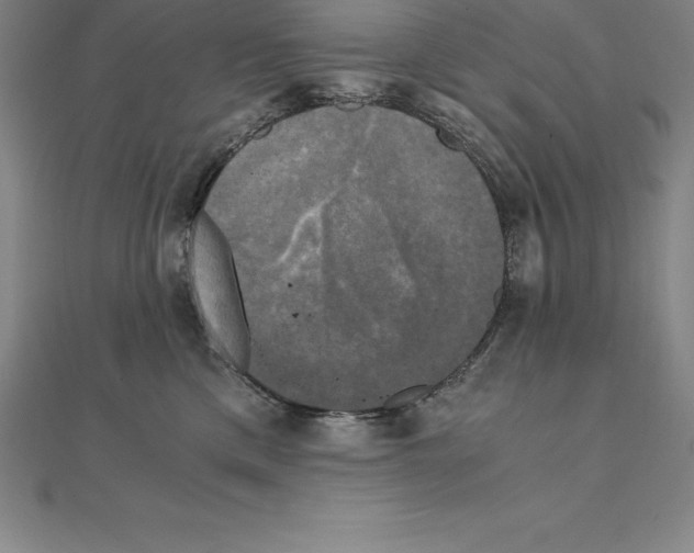 X0000110320425200906181827