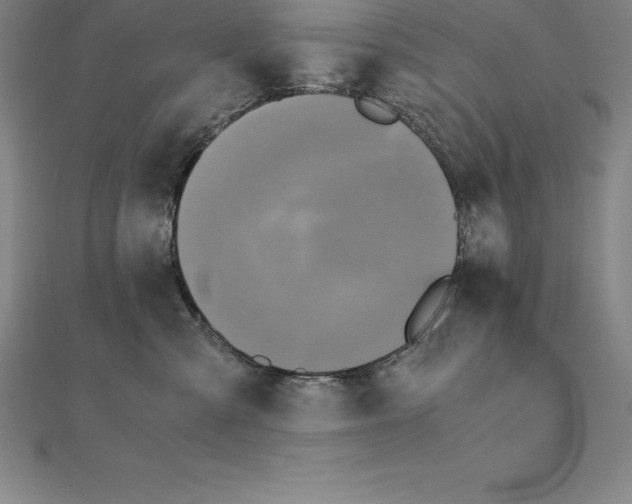 X0000110320427200906181827