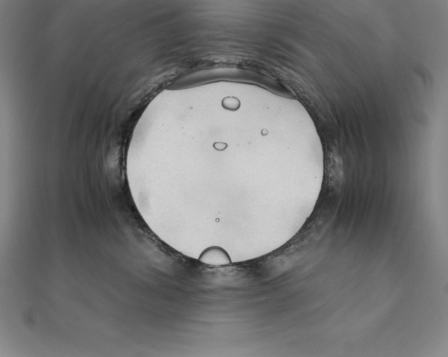 X0000110320428200906181827