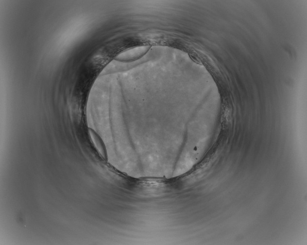 X0000110320429200906181827