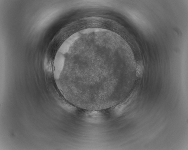 X0000110320431200906181827