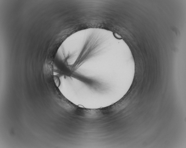 X0000110320432200906181827