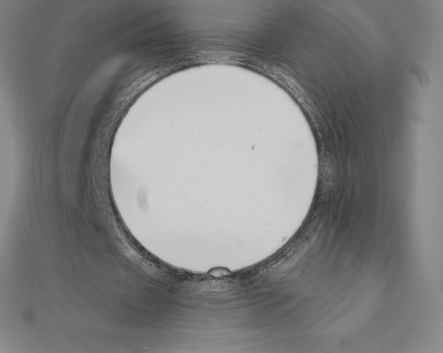 X0000110320433200906181826