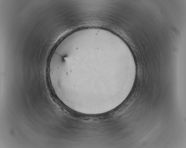 X0000110320434200906181826