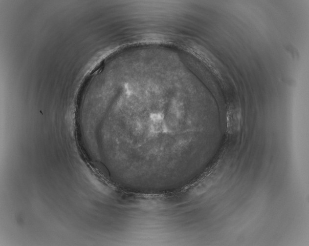 X0000110320436200906181826