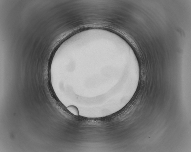 X0000110320437200906181826