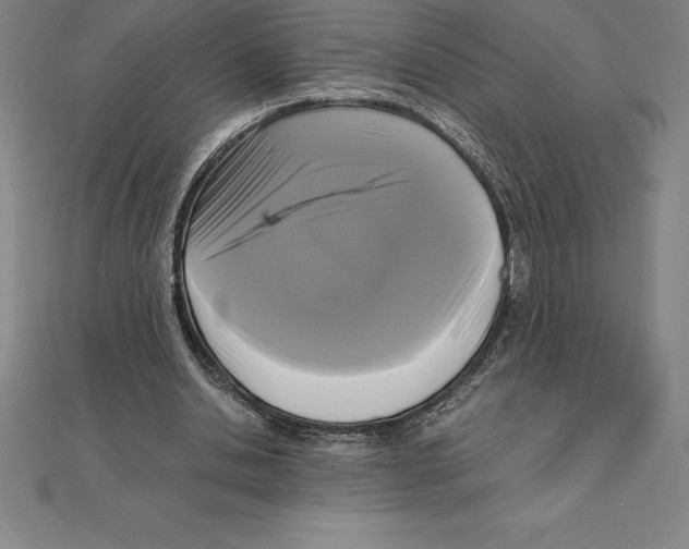 X0000110320438200906181826