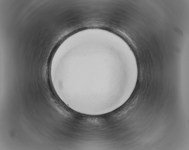 X0000110320439200906181826