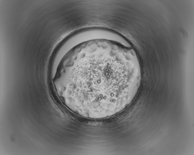 X0000110320440200906181826