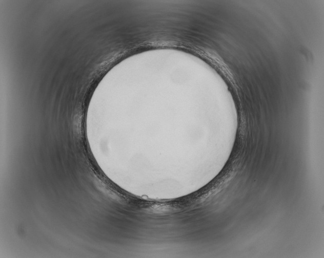 X0000110320441200906181826