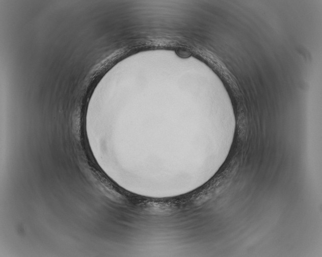 X0000110320442200906181826