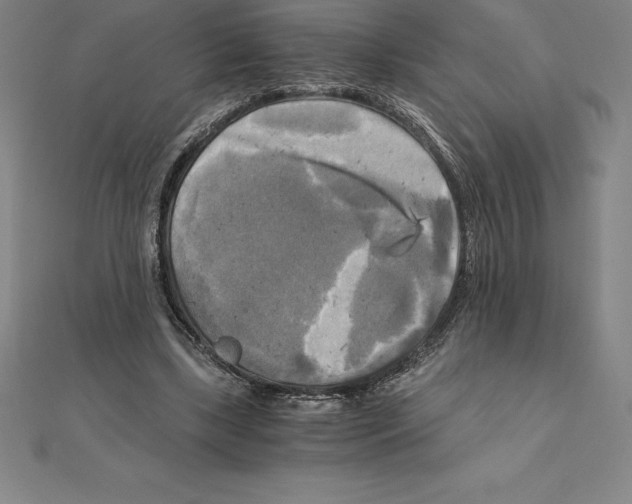 X0000110320443200906181826