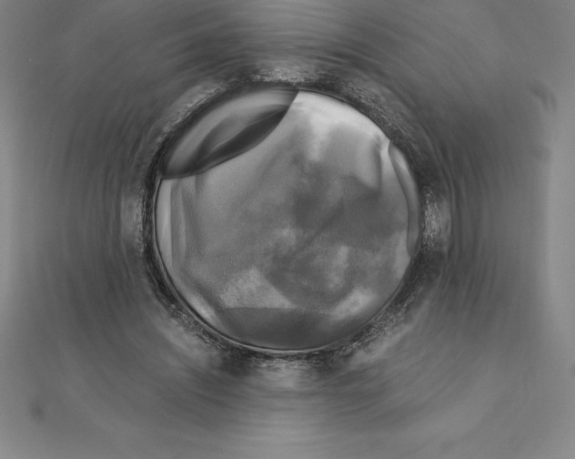 X0000110320444200906181827