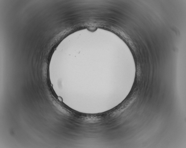 X0000110320445200906181827