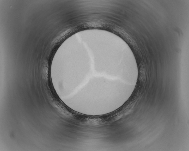 X0000110320446200906181827