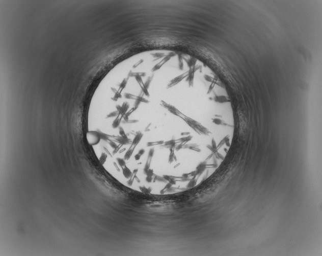 X0000110320447200906181827