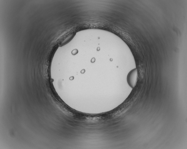 X0000110320450200906181827