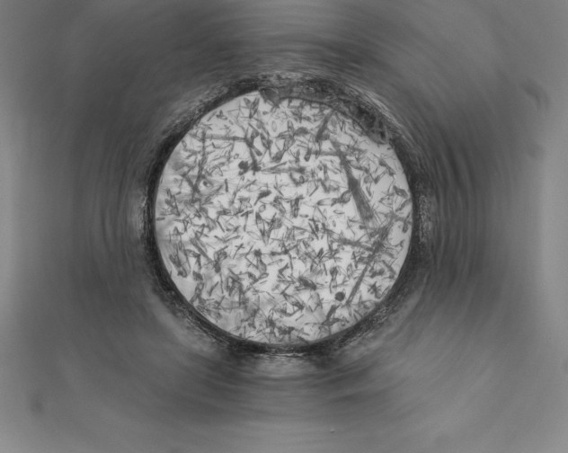 X0000110320451200906181827