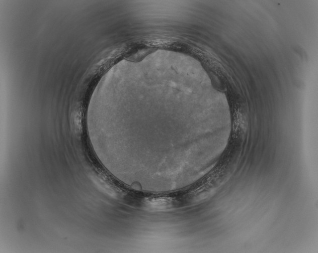 X0000110320452200906181827