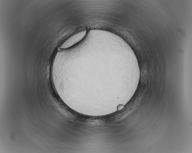 X0000110320454200906181827