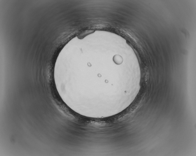 X0000110320455200906181827