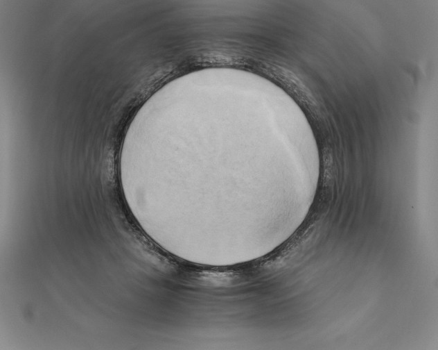 X0000110320457200906181827