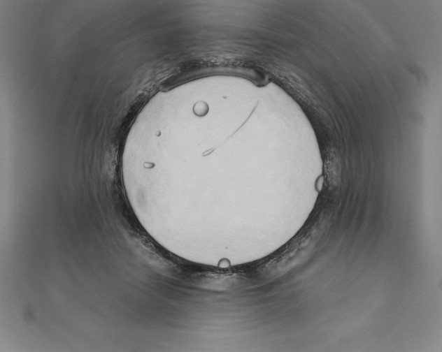 X0000110320458200906181827