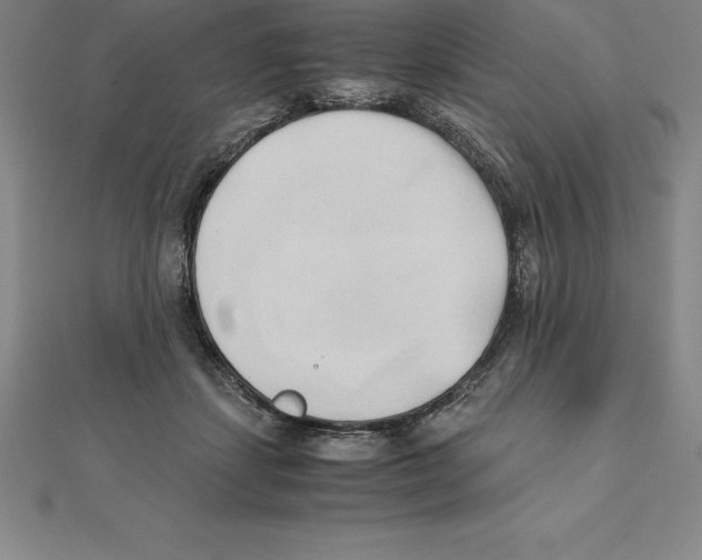 X0000110320459200906181827