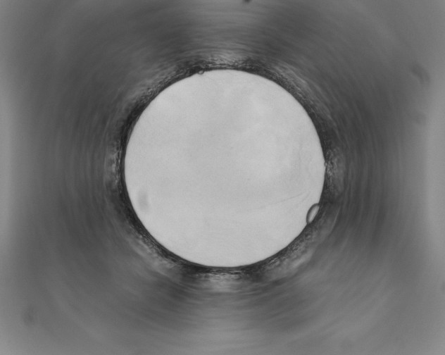 X0000110320462200906181827