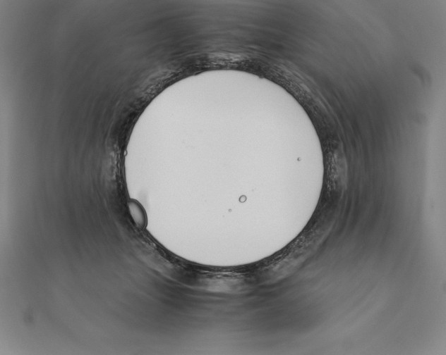 X0000110320463200906181827