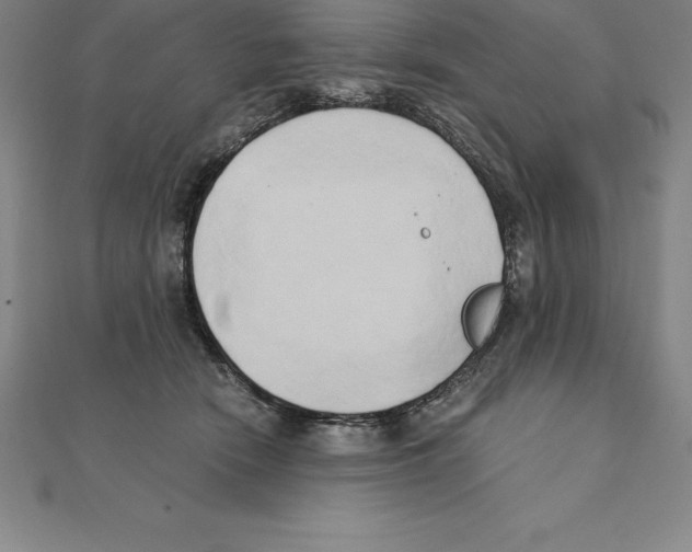 X0000110320466200906181827