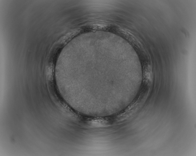 X0000110320468200906181827