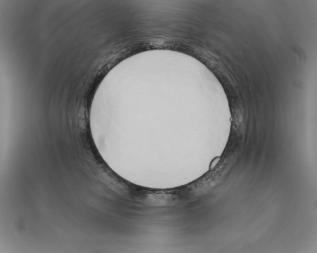 X0000110320470200906181827