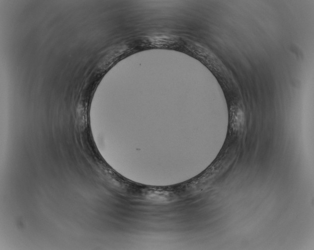 X0000110320471200906181827