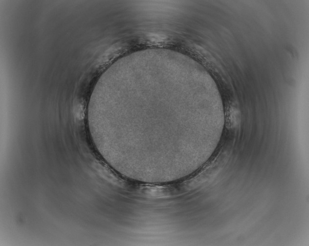 X0000110320472200906181827