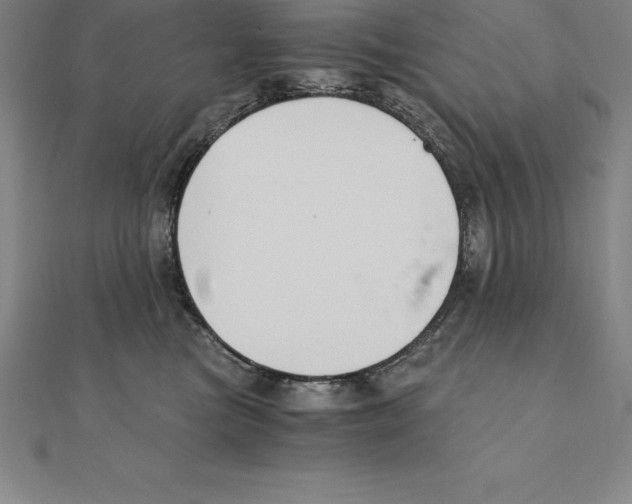 X0000110320473200906181827