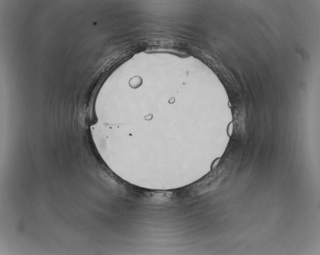 X0000110320474200906181827