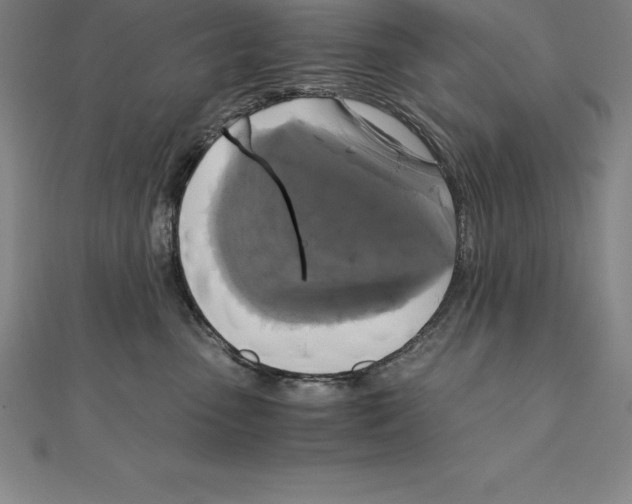 X0000110320475200906181827