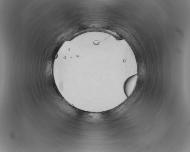 X0000110320478200906181827