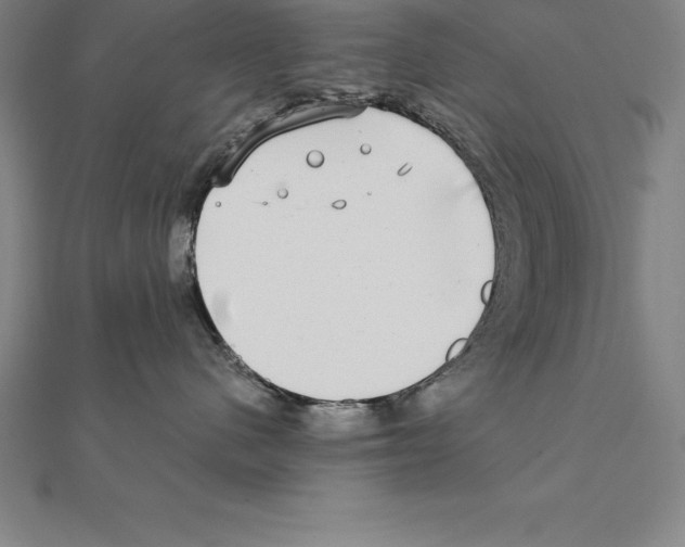 X0000110320480200906181827