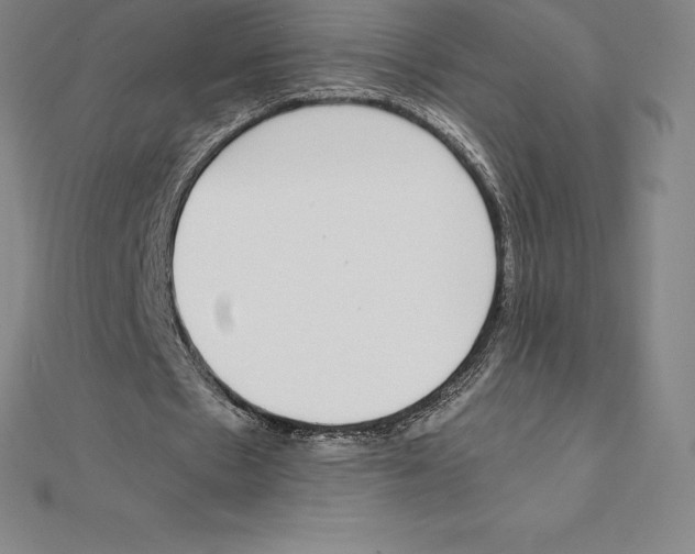 X0000110320481200906181826