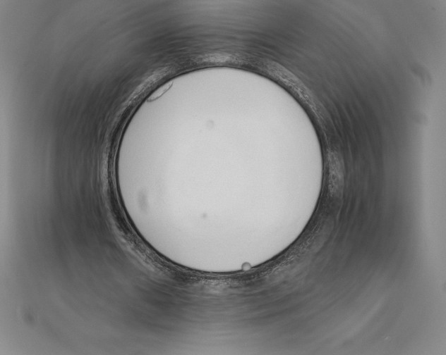 X0000110320482200906181826